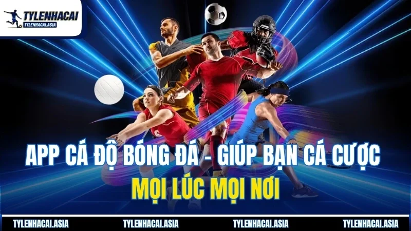 App Cá Độ Bóng Đá -  Giúp Bạn Cá Cược Mọi Lúc Mọi Nơi