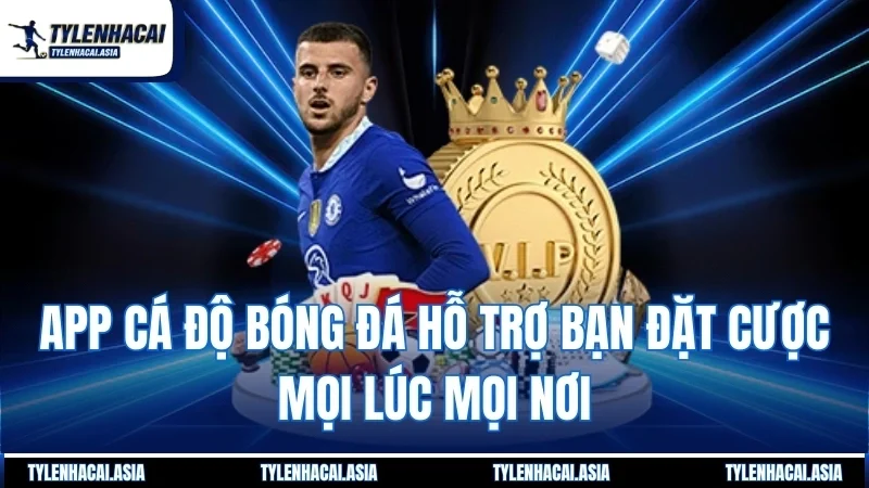 App cá độ bóng đá hỗ trợ bạn đặt cược mọi lúc mọi nơi